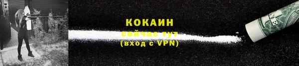 дурь Мегион