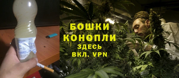 дурь Мегион