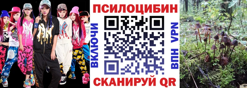 Галлюциногенные грибы MAGIC MUSHROOMS  где продают   Евпатория 
